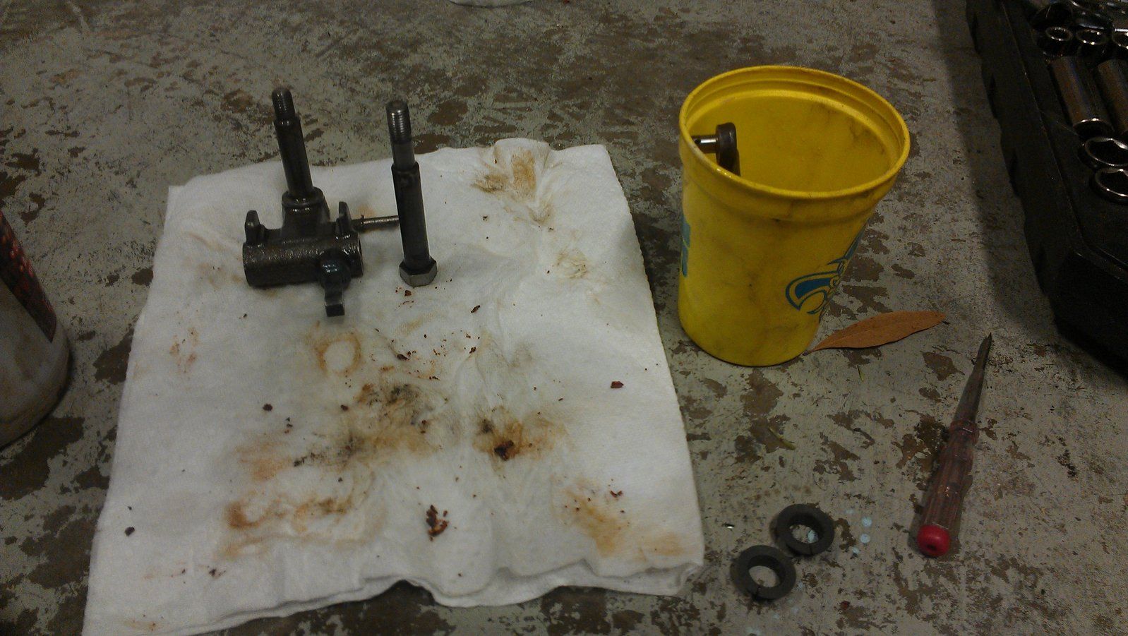 IMAG0555.jpg