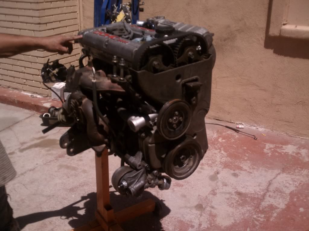 IMAG0564.jpg