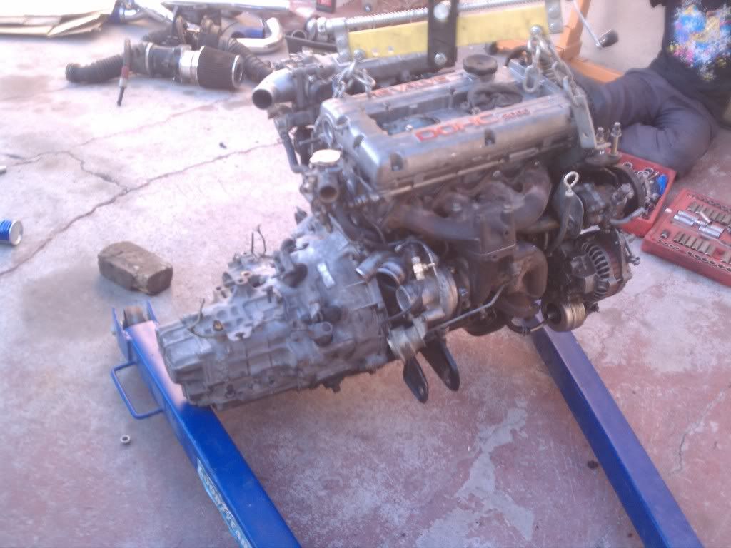 IMAG0568.jpg