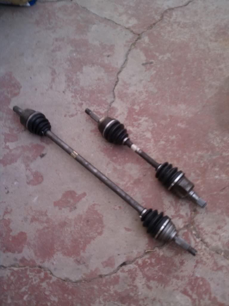 IMAG0590.jpg