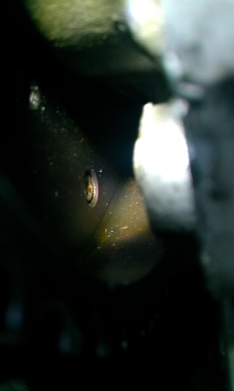 IMAG0612.jpg