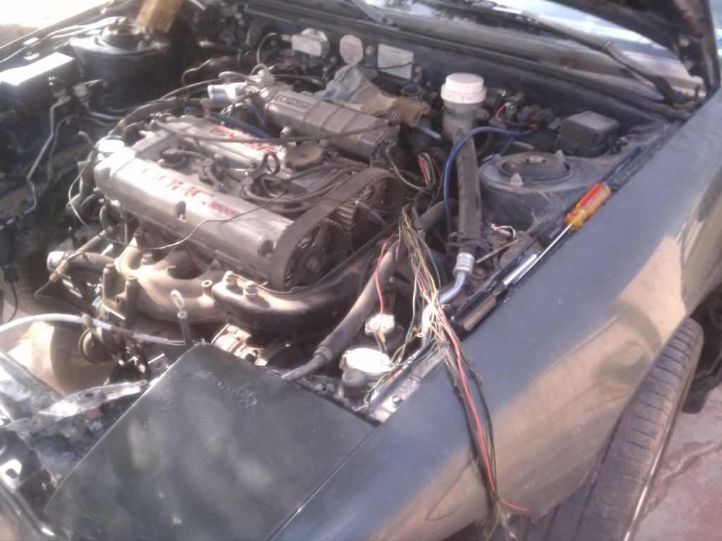 IMAG0626.jpg