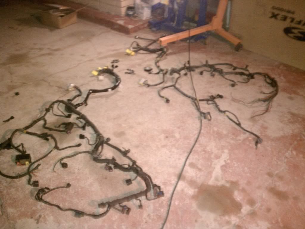 IMAG0640.jpg
