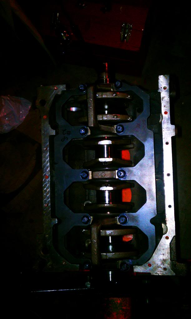 IMAG0648_zps93cd000e.jpg