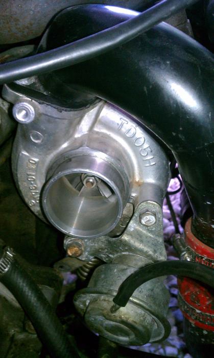 IMAG0678.jpg