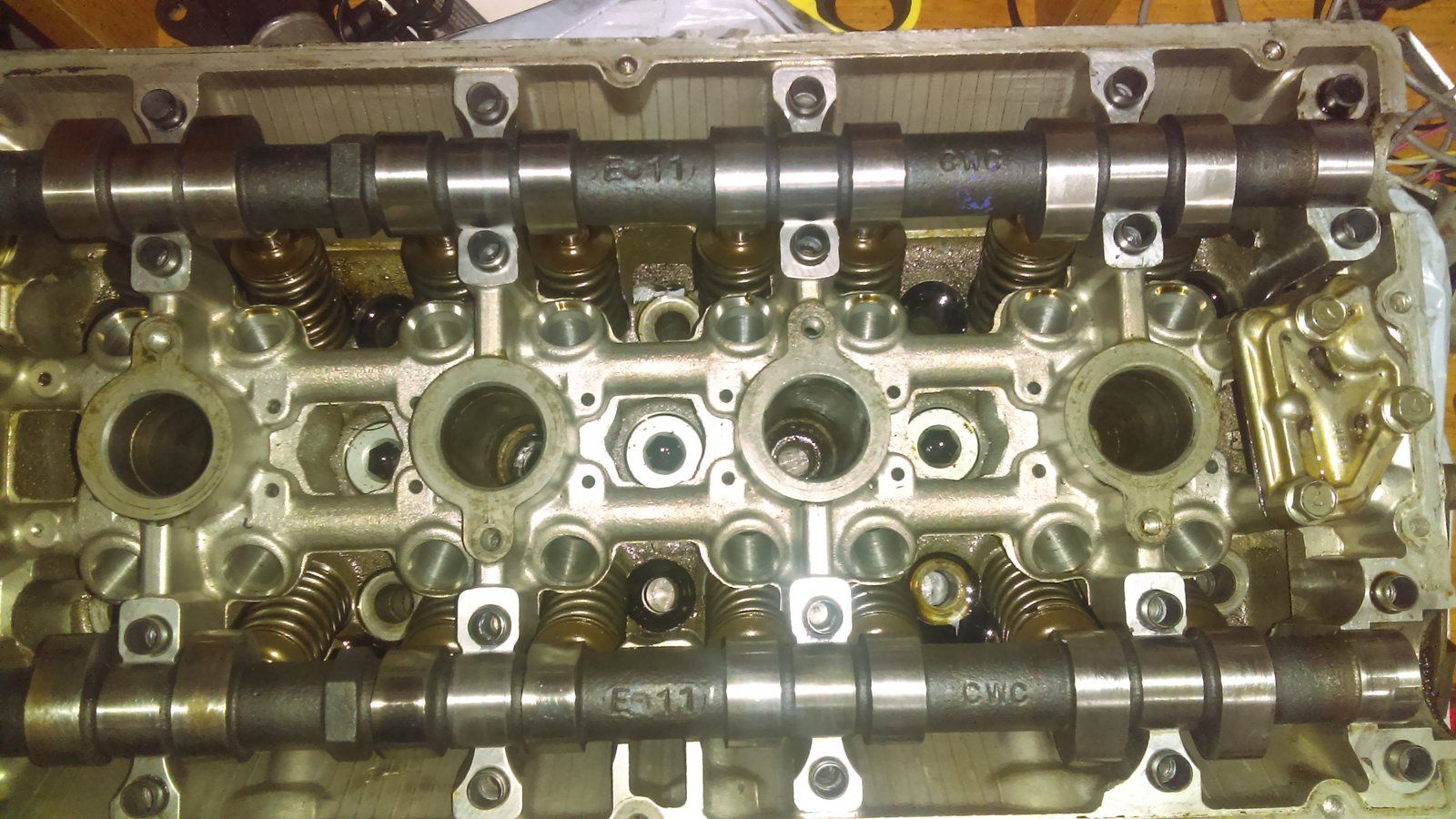 IMAG0727.jpg