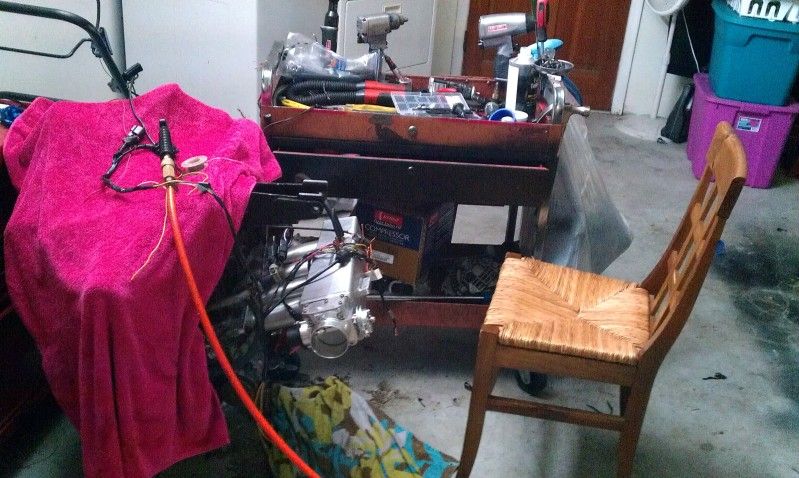 IMAG0806.jpg