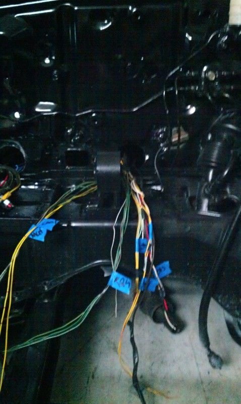 IMAG0823.jpg