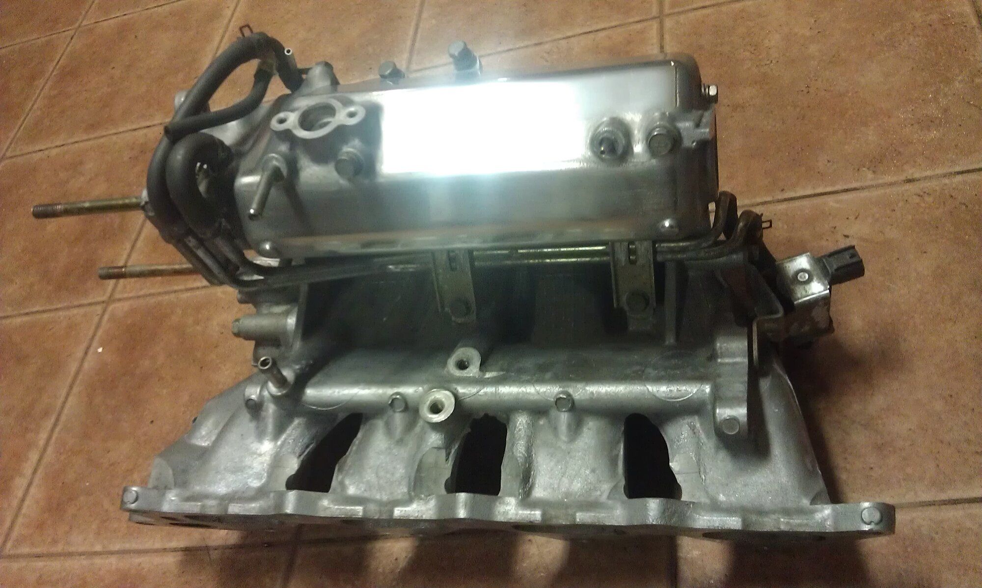 IMAG3167.jpg