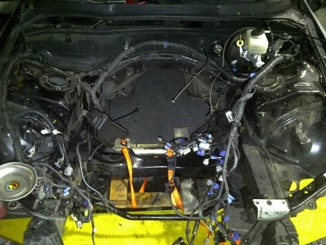 IMG-20110103-00124.jpg