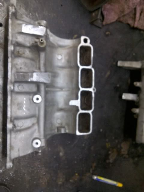 IMG-20110831-00047.jpg