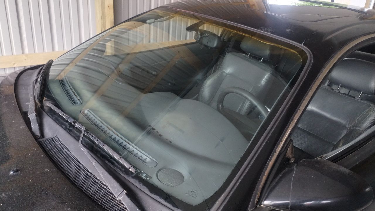 IMG-20240603-174556691.jpg