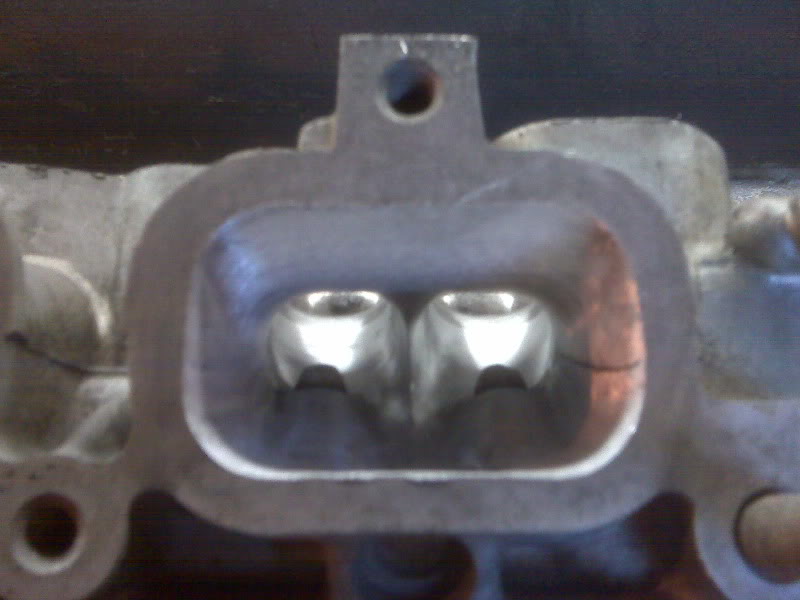 IMG00011.jpg