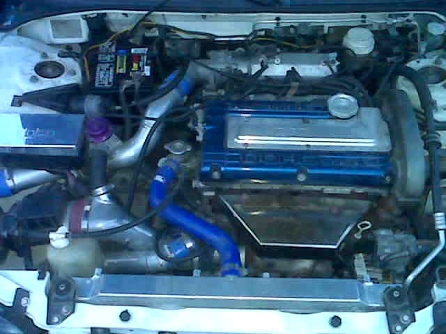 IMG00493.jpg IMG00493.jpg