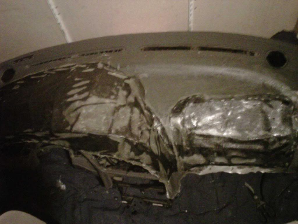 IMG00595-20121203-1552.jpg