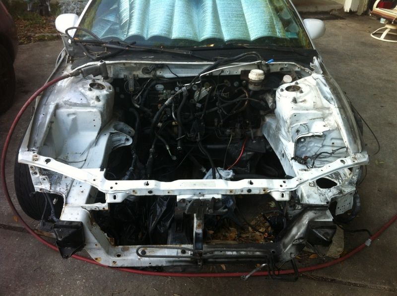 img1881gt.jpg