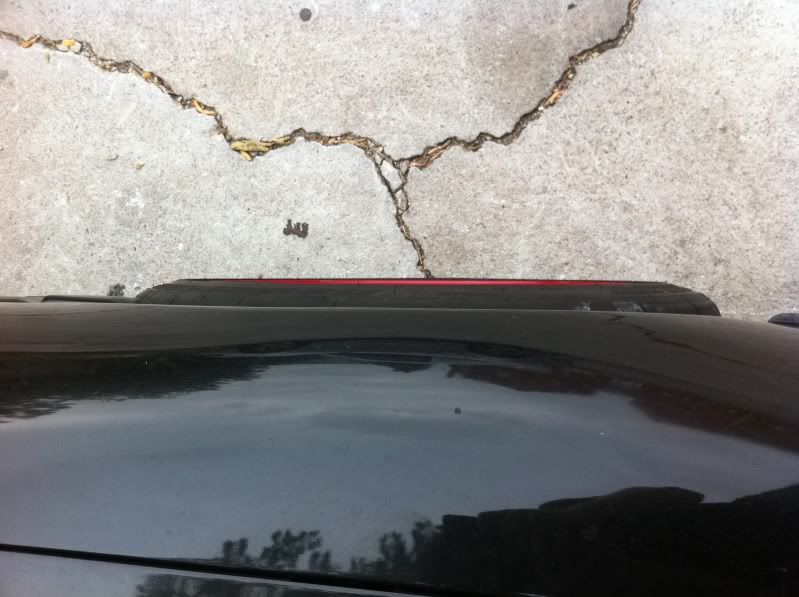 IMG_0555.jpg