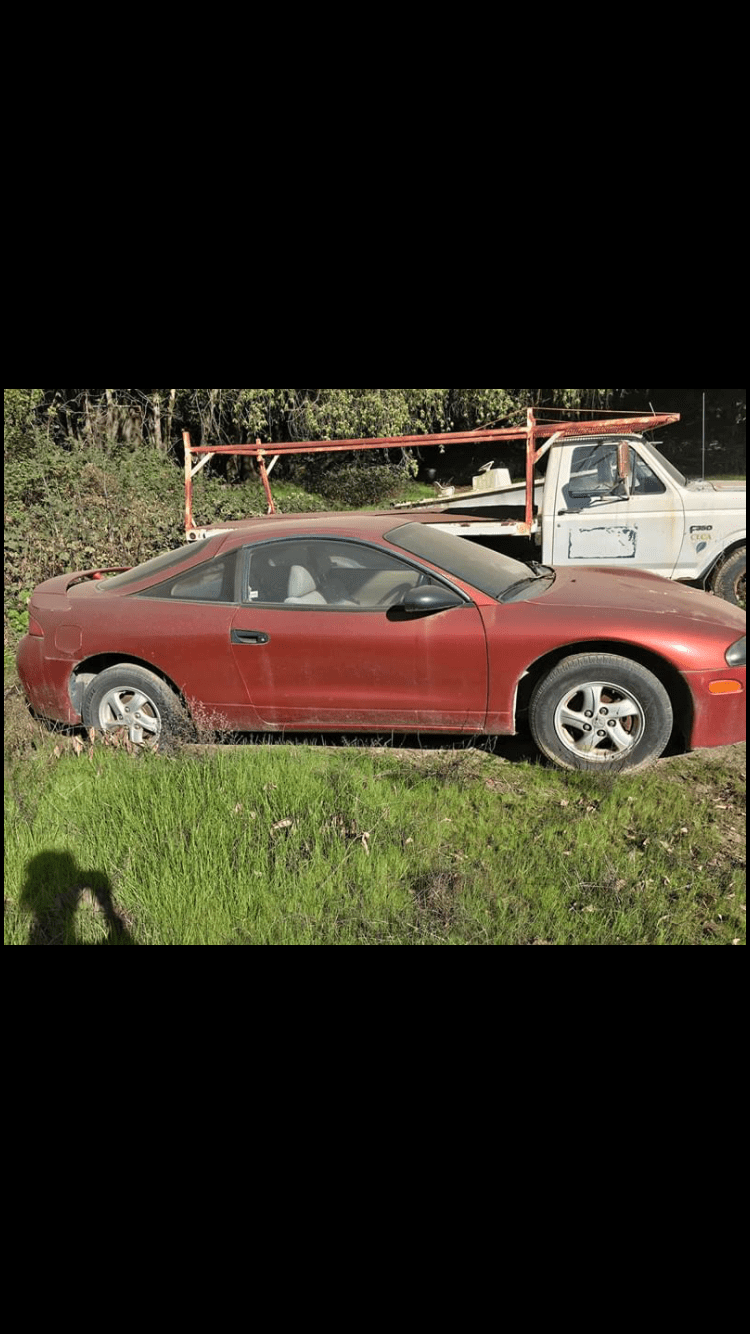 IMG_1133.PNG