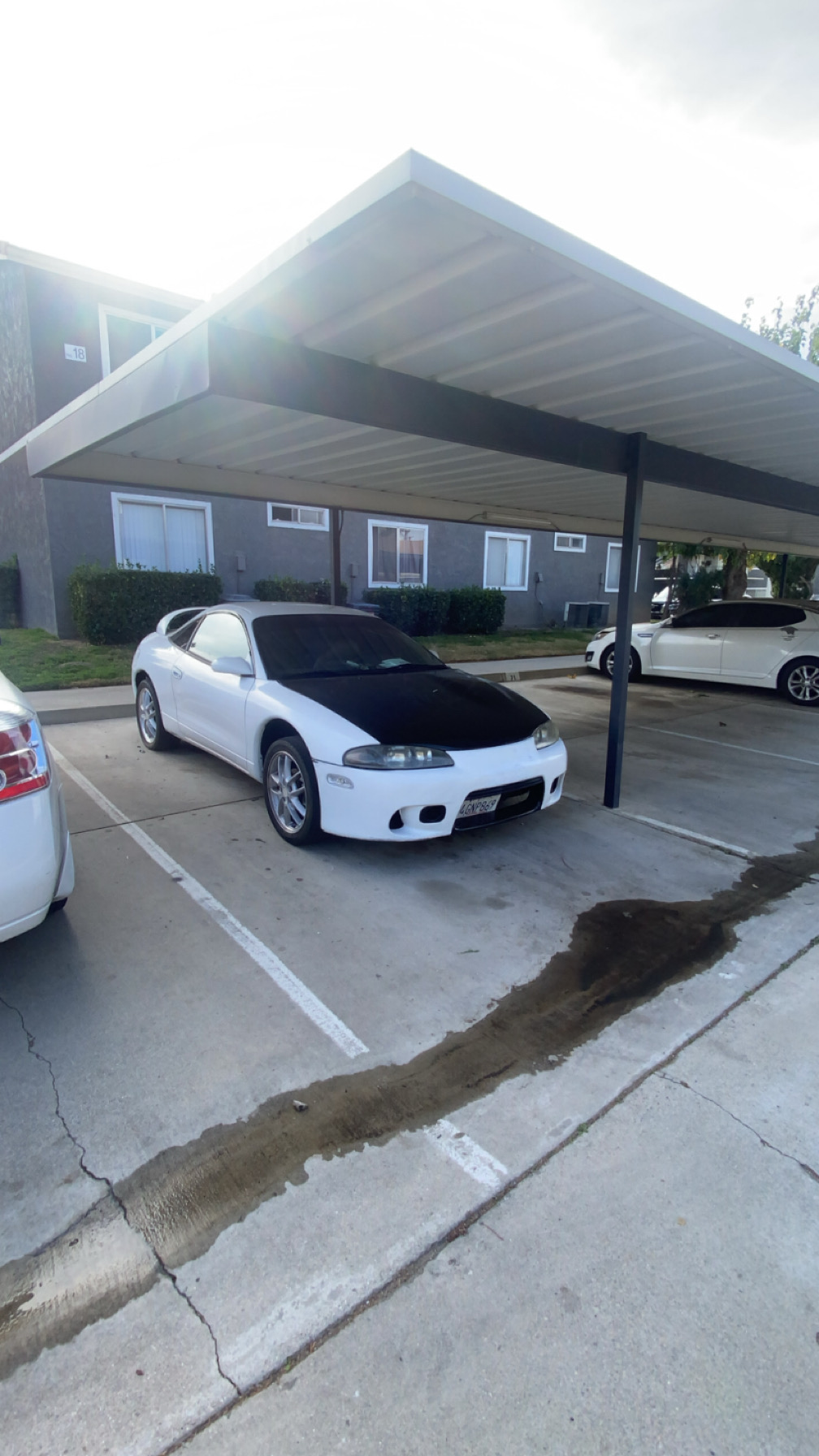 IMG_1330.jpeg