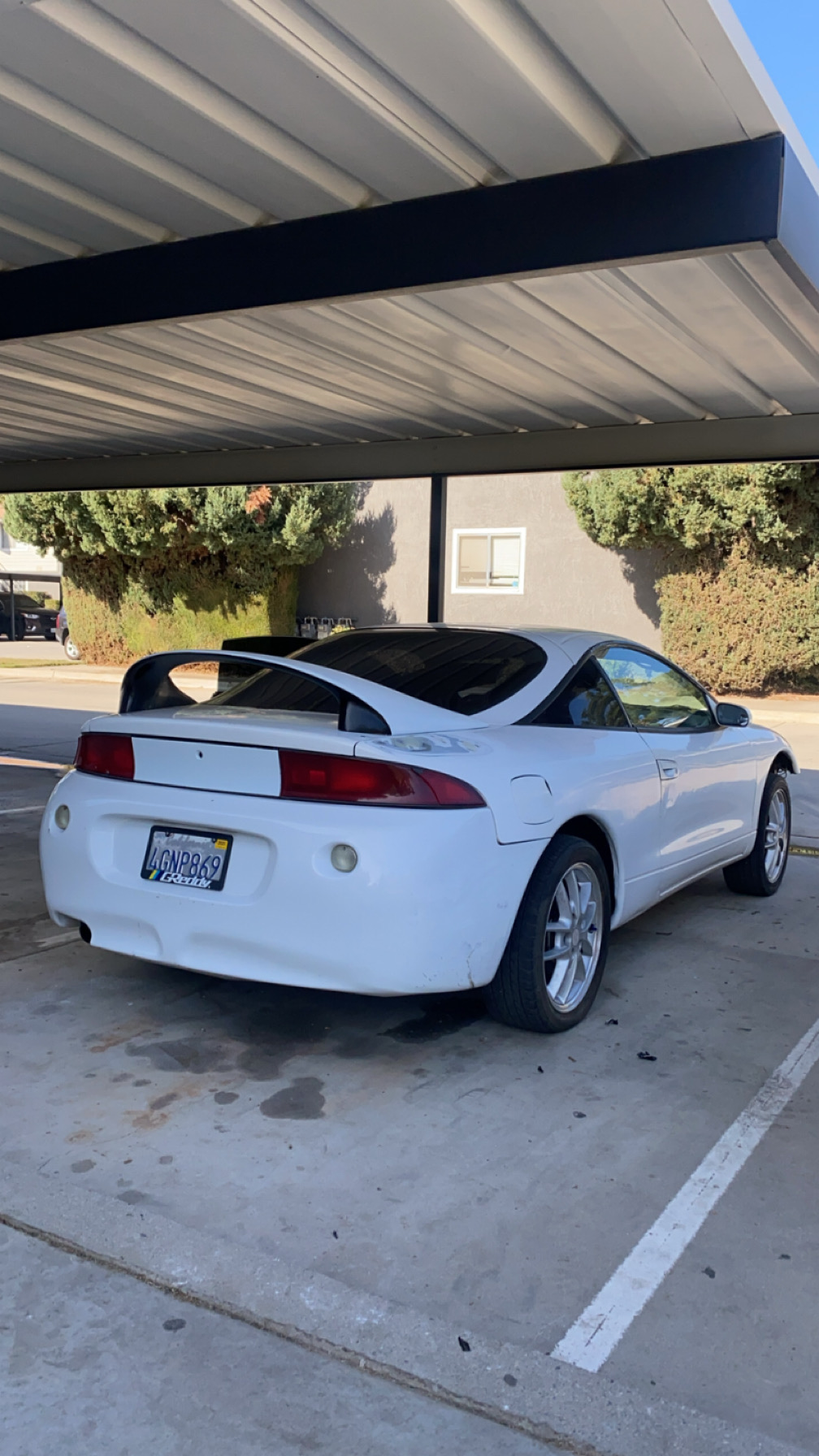 IMG_1355.jpeg