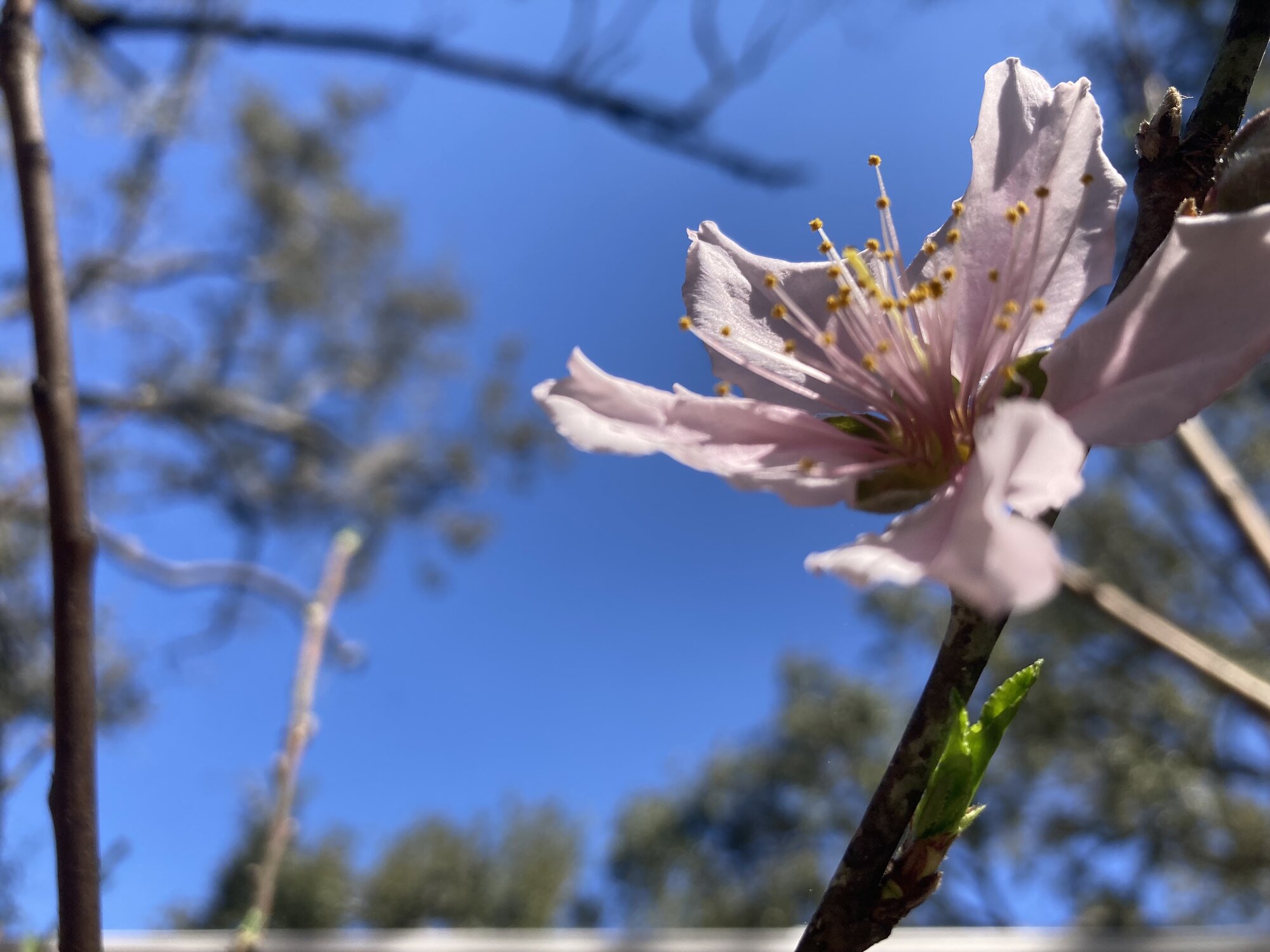 IMG_1366.jpeg