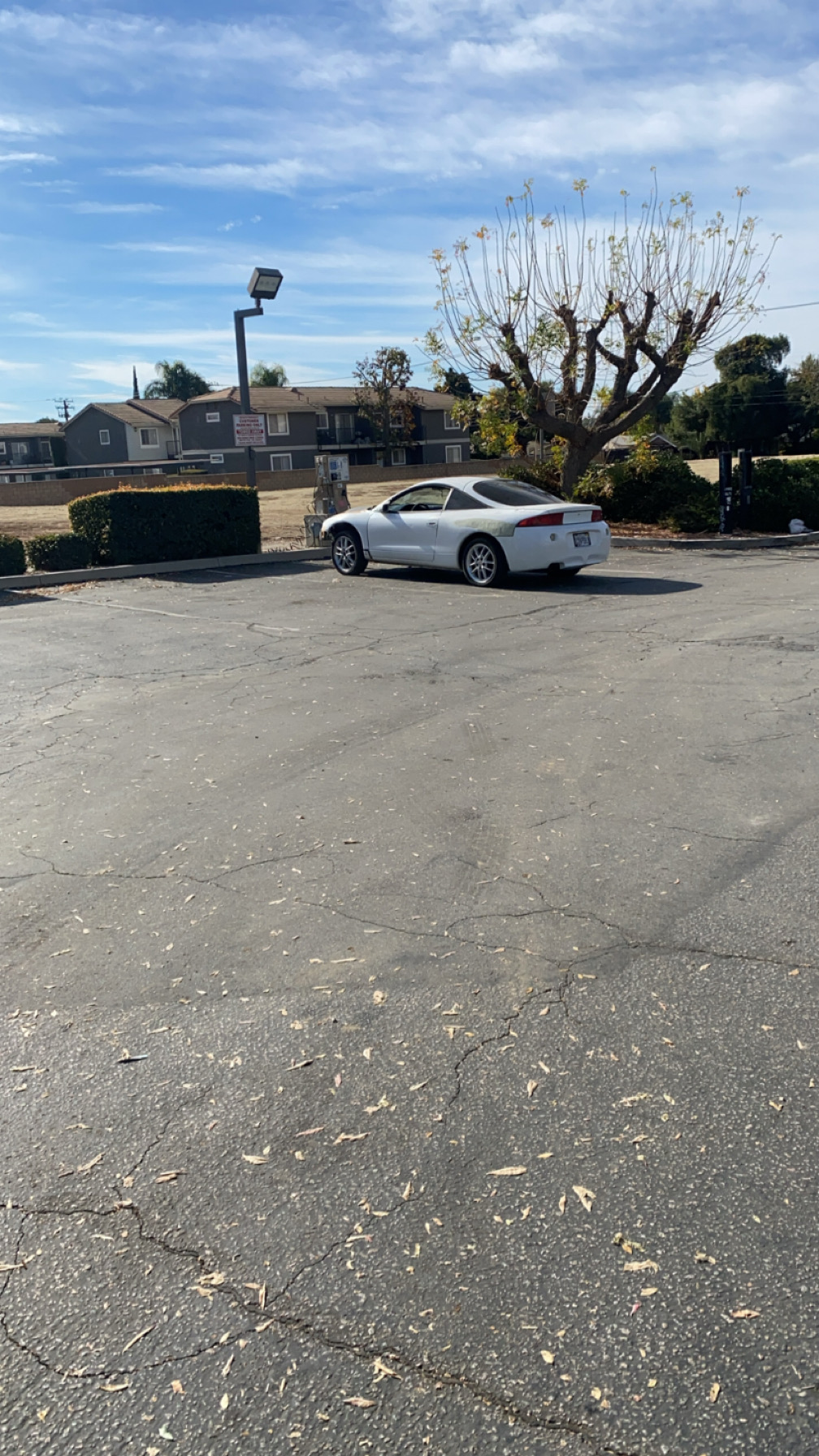 IMG_1603.jpeg
