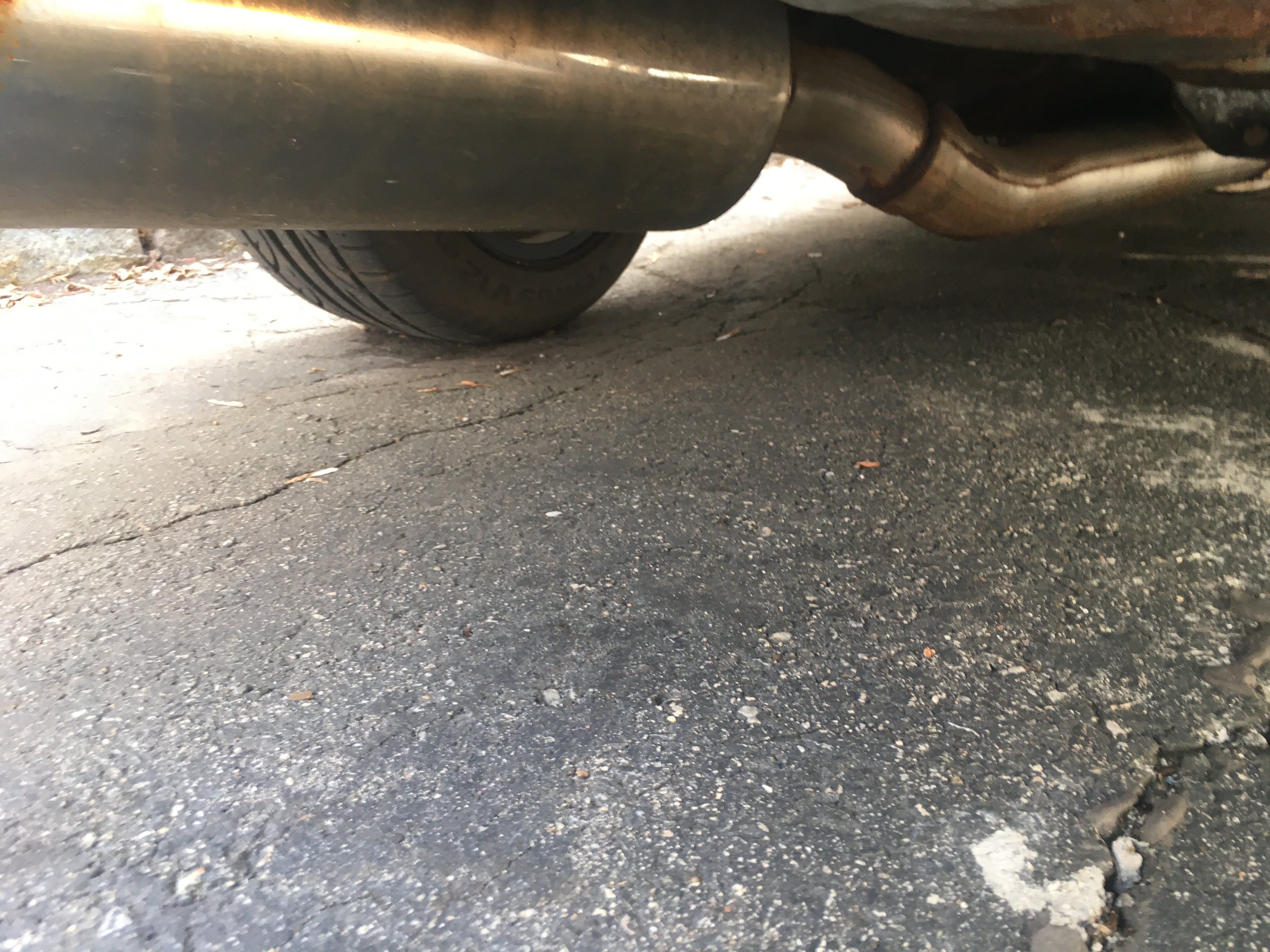 IMG_1753.JPG