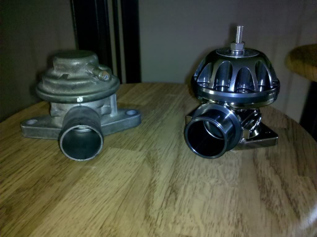 IMG_20110123_105557.jpg