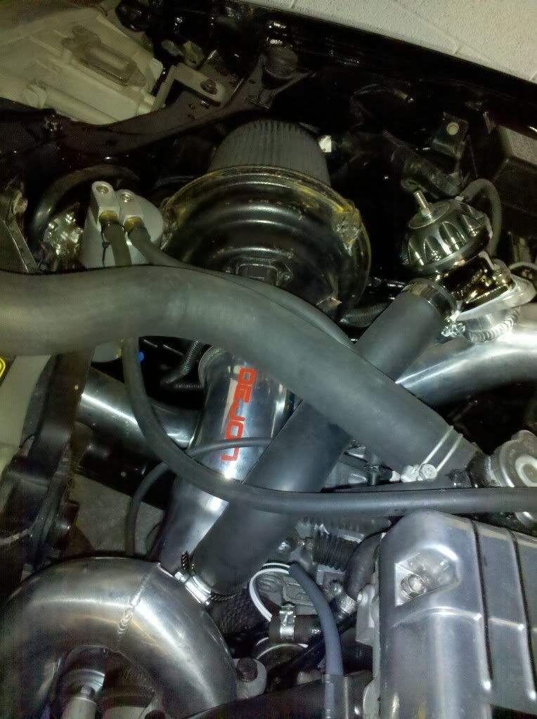 IMG_20110123_143104.jpg