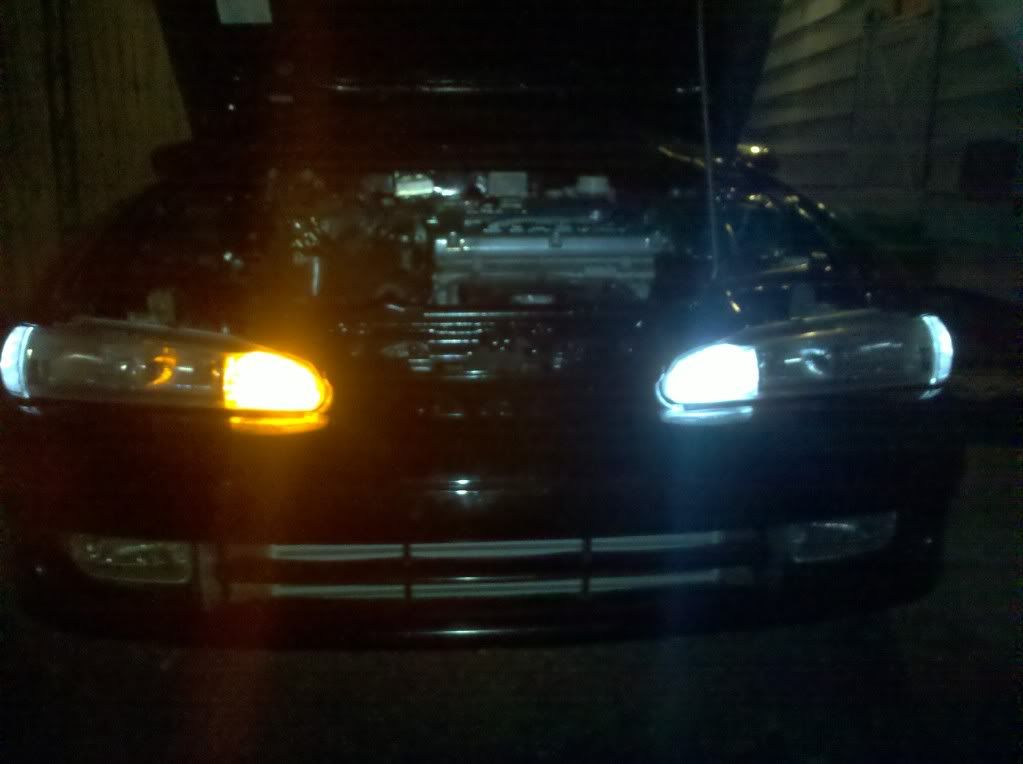IMG_20110216_180836.jpg