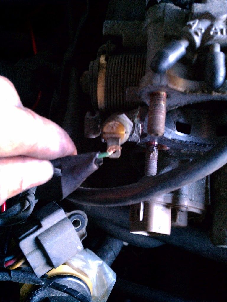 IMG_20120429_191008.jpg