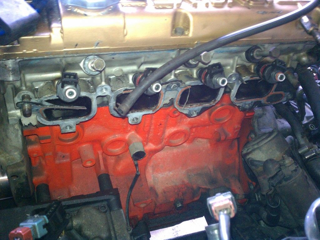 IMG_20120517_152452.jpg