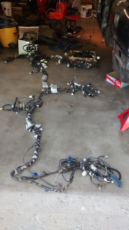 IMG_20170624_151713973.jpg