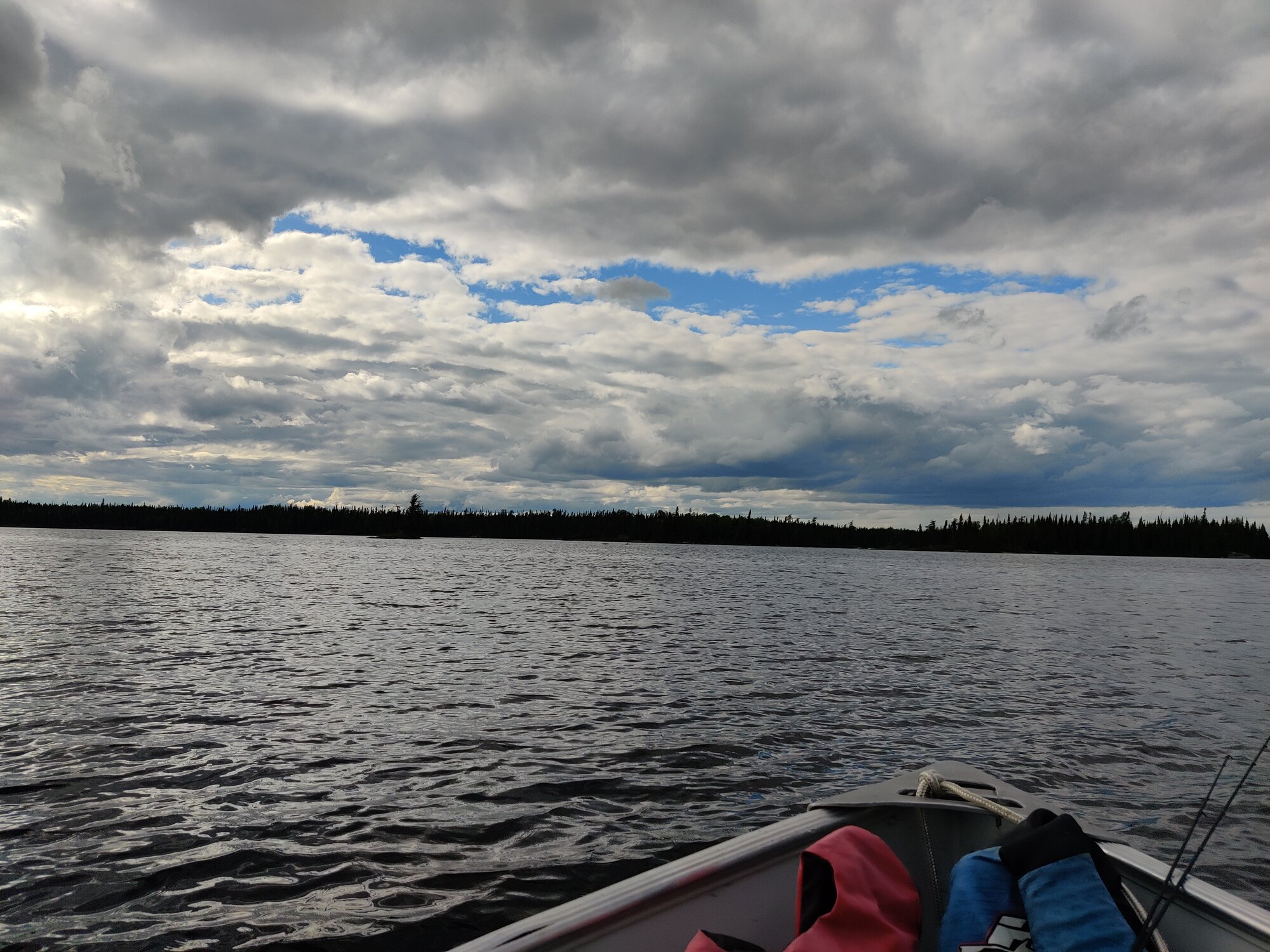 IMG_20240612_180732.jpg