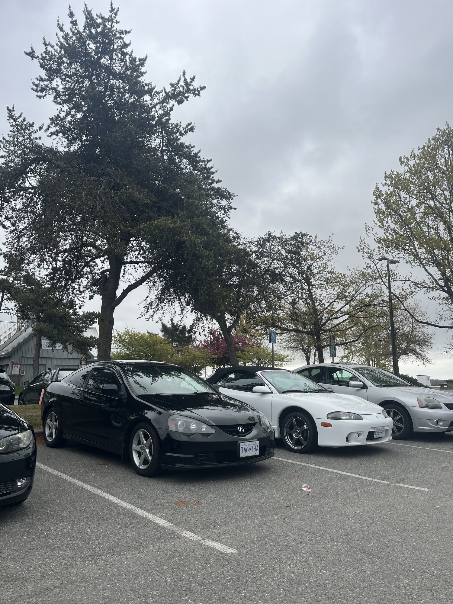IMG_3218.jpeg