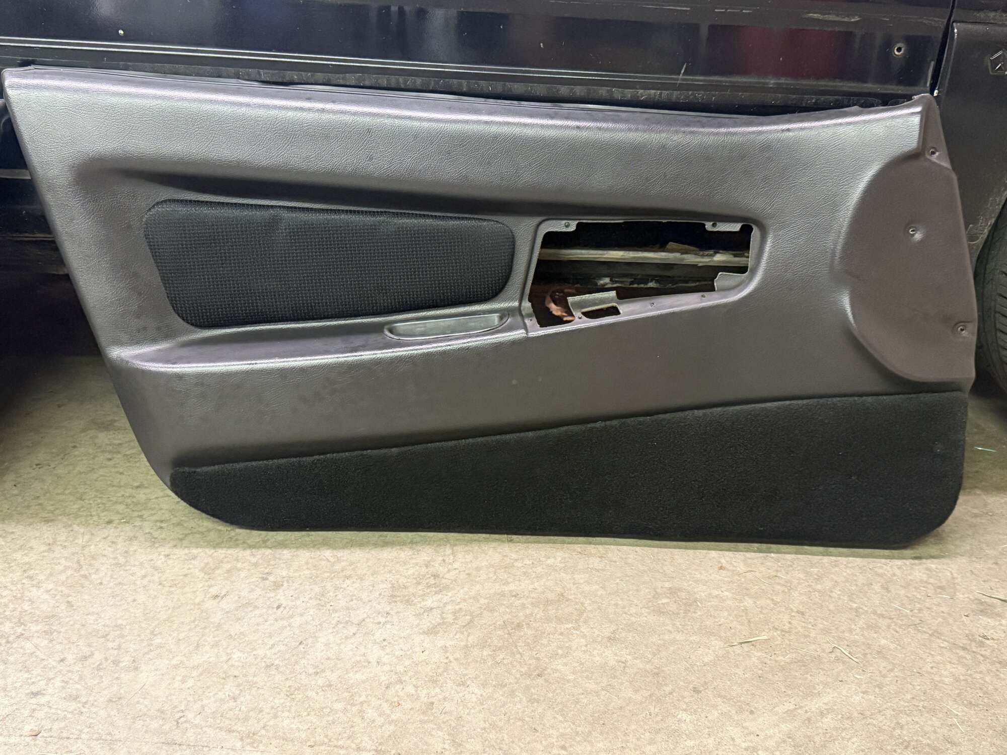 IMG_4134.jpeg