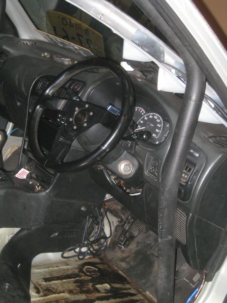 IMG_4667.sized.jpg