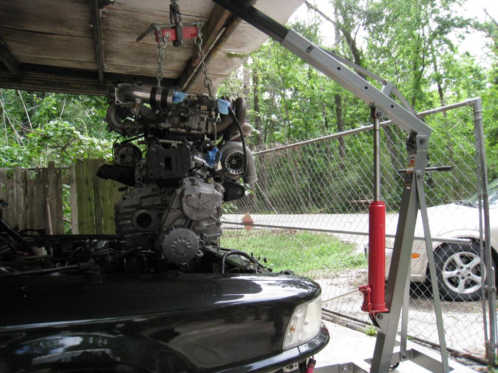 IMG_5332_zps69d1fe26.jpg
