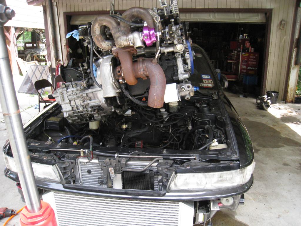 IMG_5335_zpsfe645c14.jpg