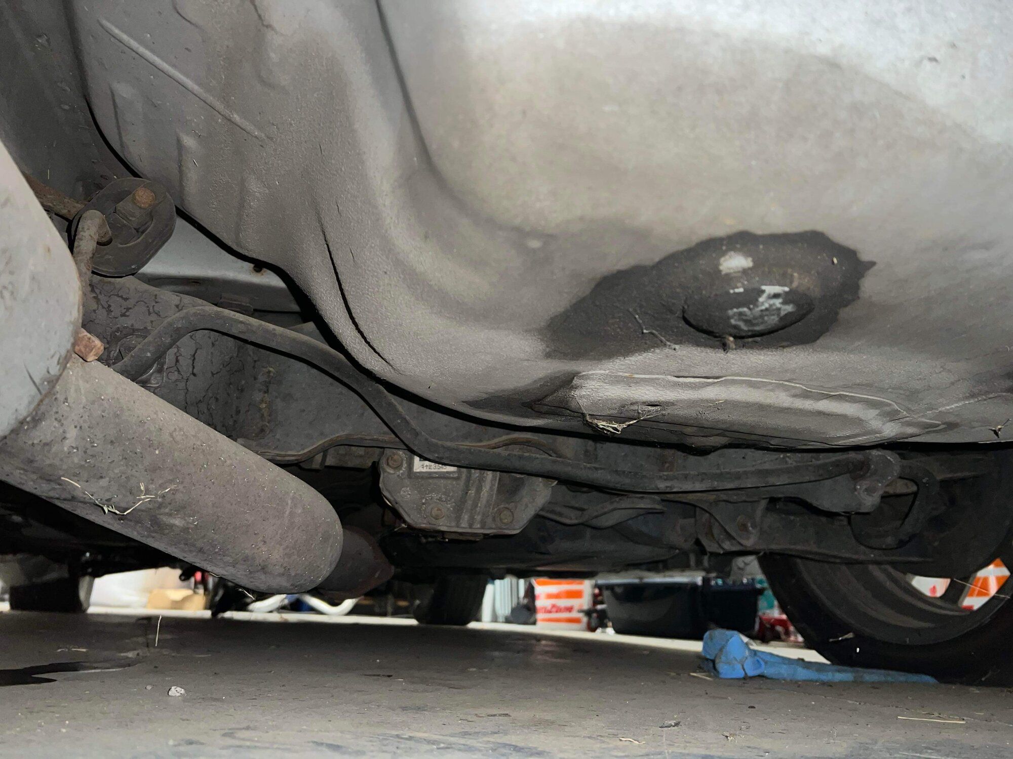 IMG_6302.jpeg