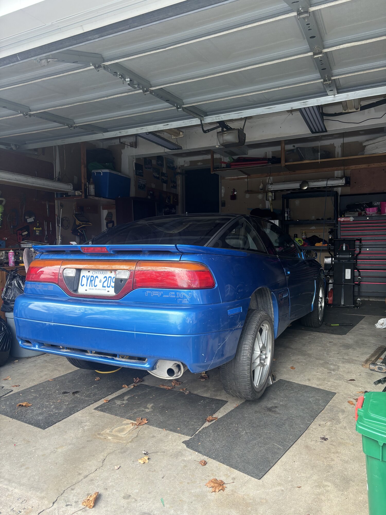 IMG_7022.jpeg