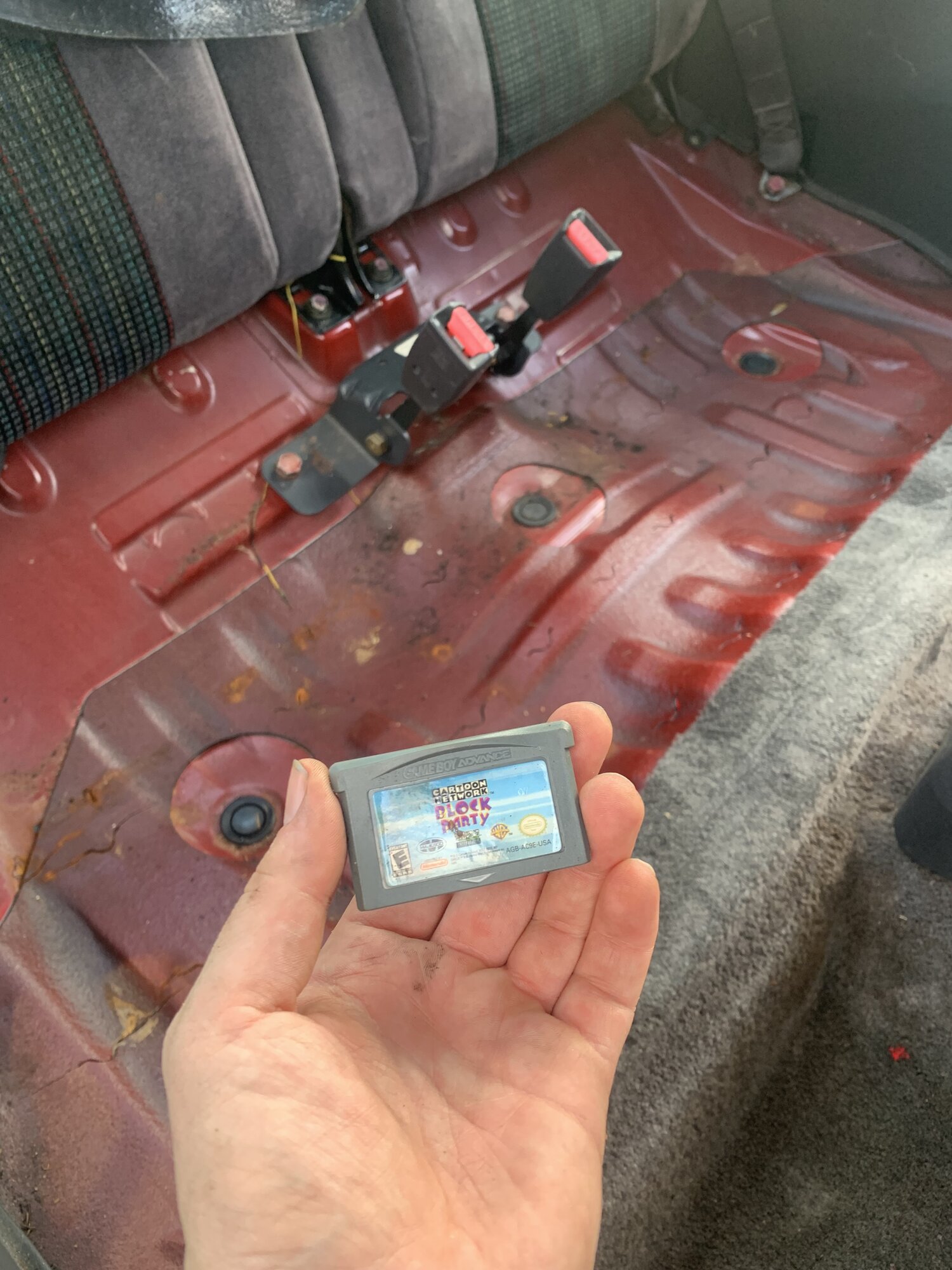 IMG_7143.jpeg