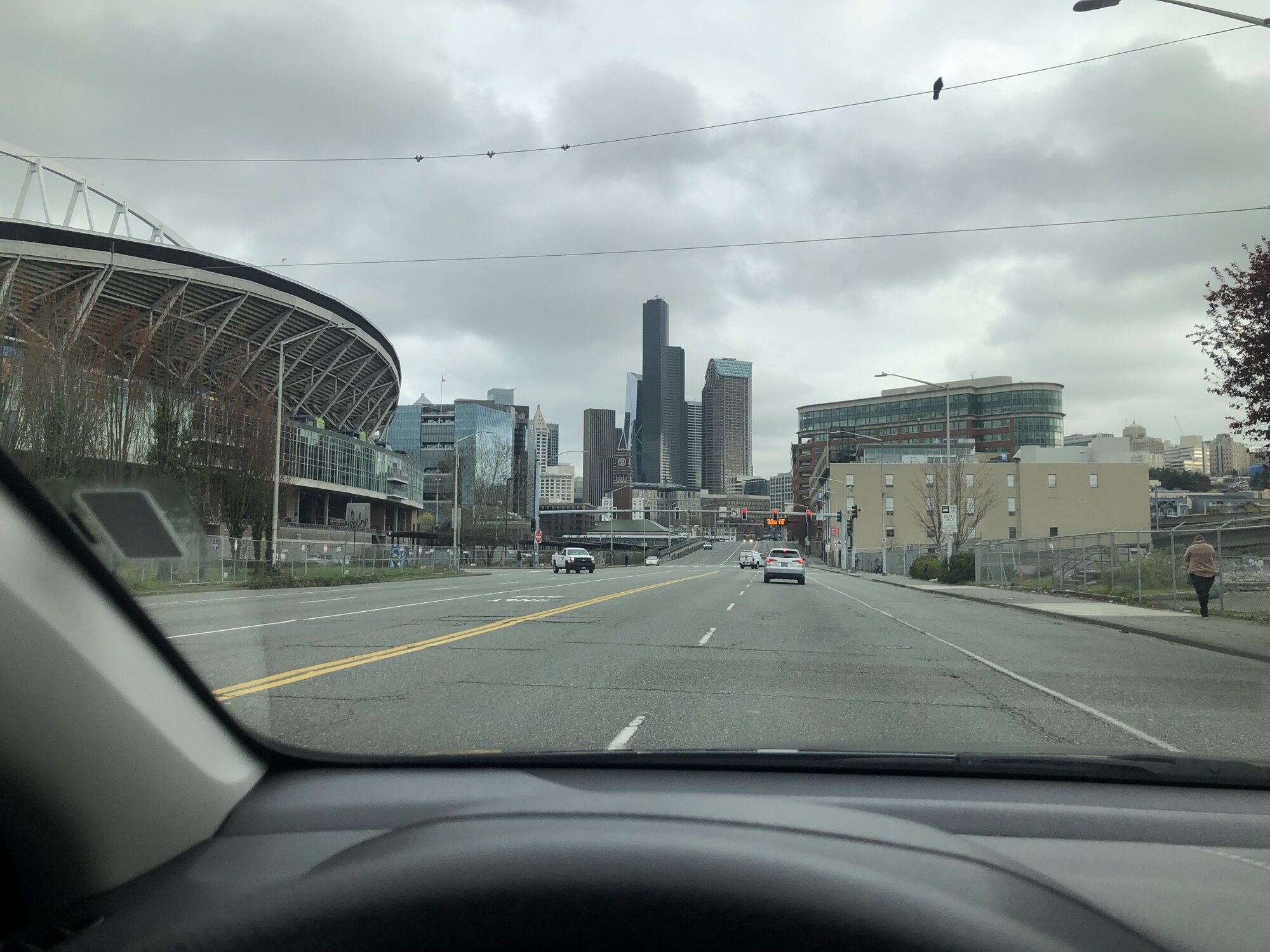 IMG_7181.jpeg