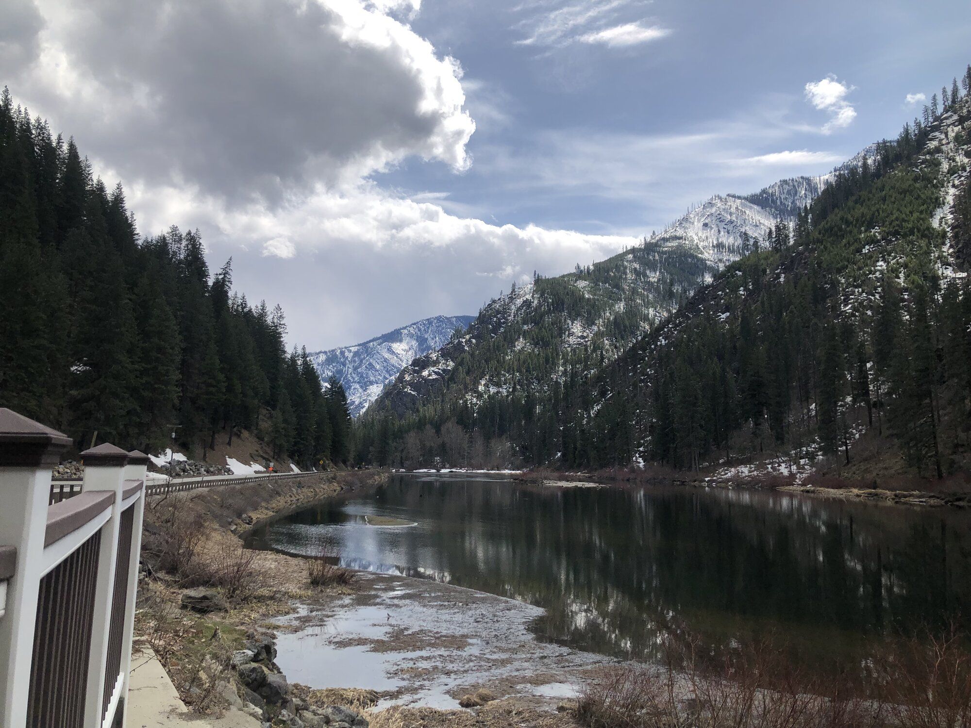 IMG_7267.jpeg