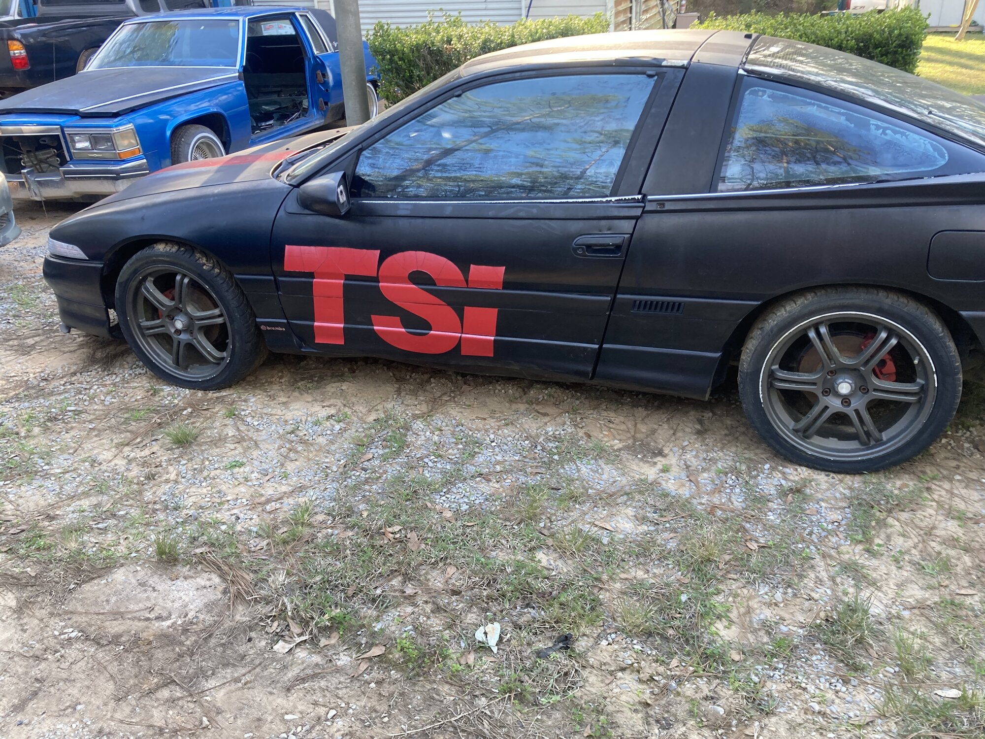 IMG_7408.jpeg