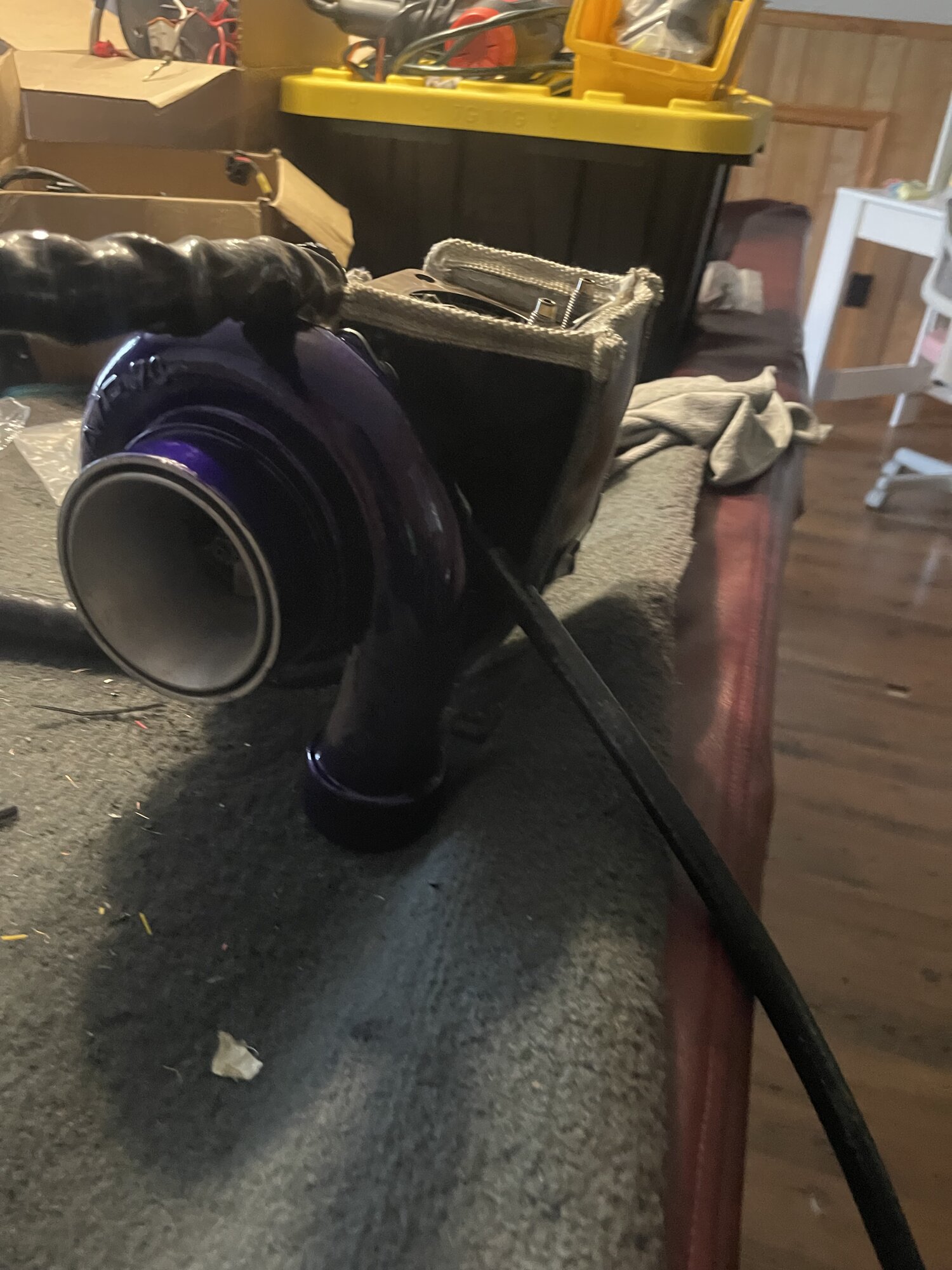 IMG_7698.jpeg