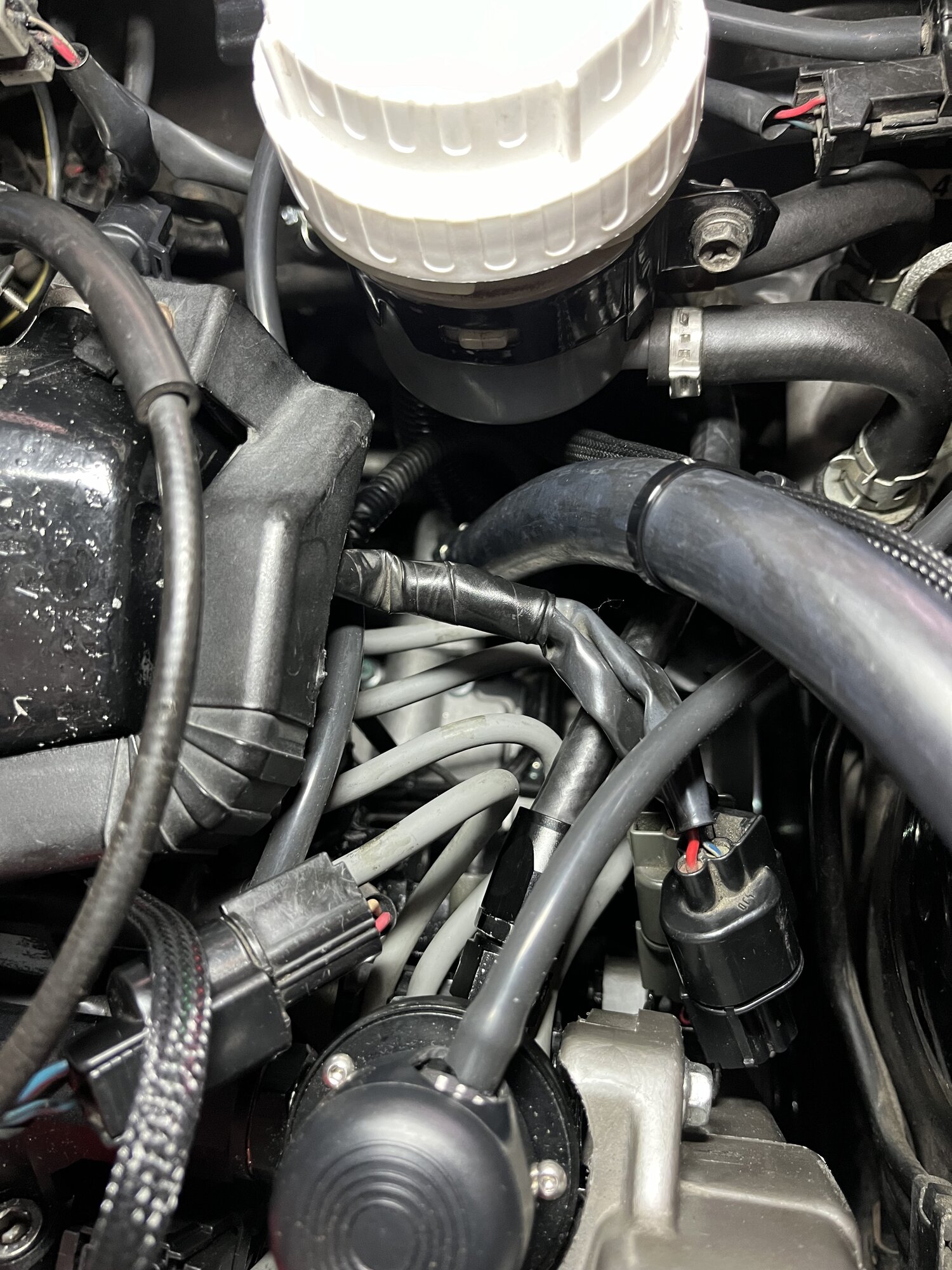 IMG_7718.jpeg