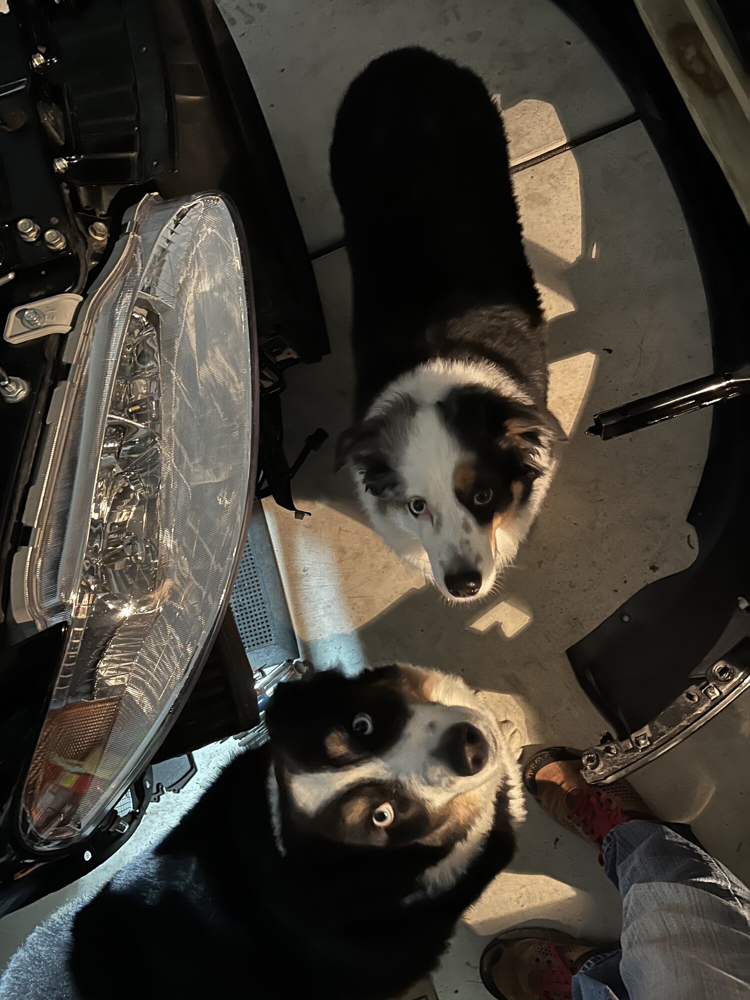 IMG_7913.jpeg