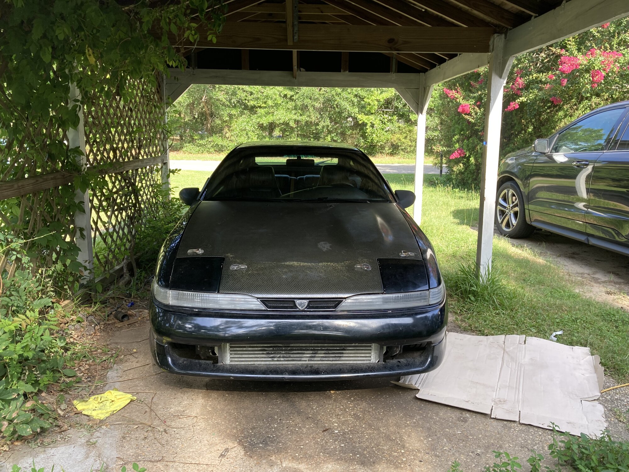 IMG_8121.jpeg