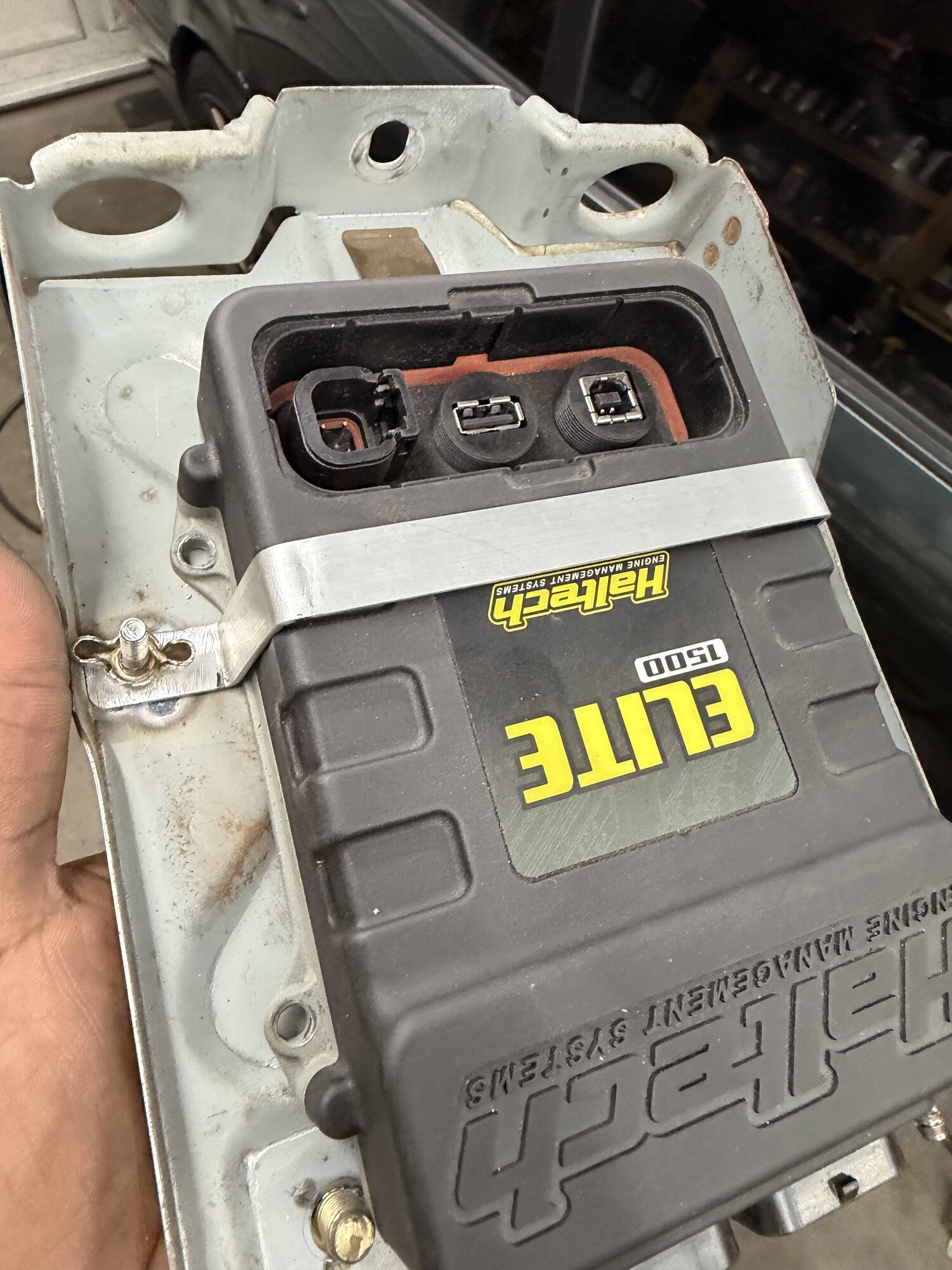 IMG_9196.jpeg